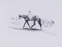 Max Feldbauer,Scholle,Jockey,Lithografie,signiert,signiert r.u., datiert 1922 mit Widmung „Albert Zeiler“