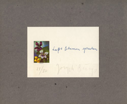 Galerie Lochner, Joseph Beuys