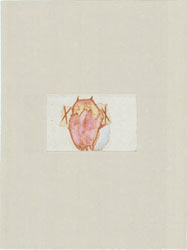 Galerie Lochner, Joseph Beuys