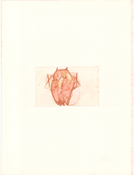 Galerie Lochner, Joseph Beuys