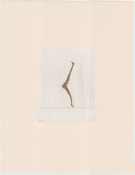Galerie Lochner, Joseph Beuys